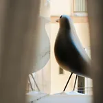 Parva Domus 163 아파트 *